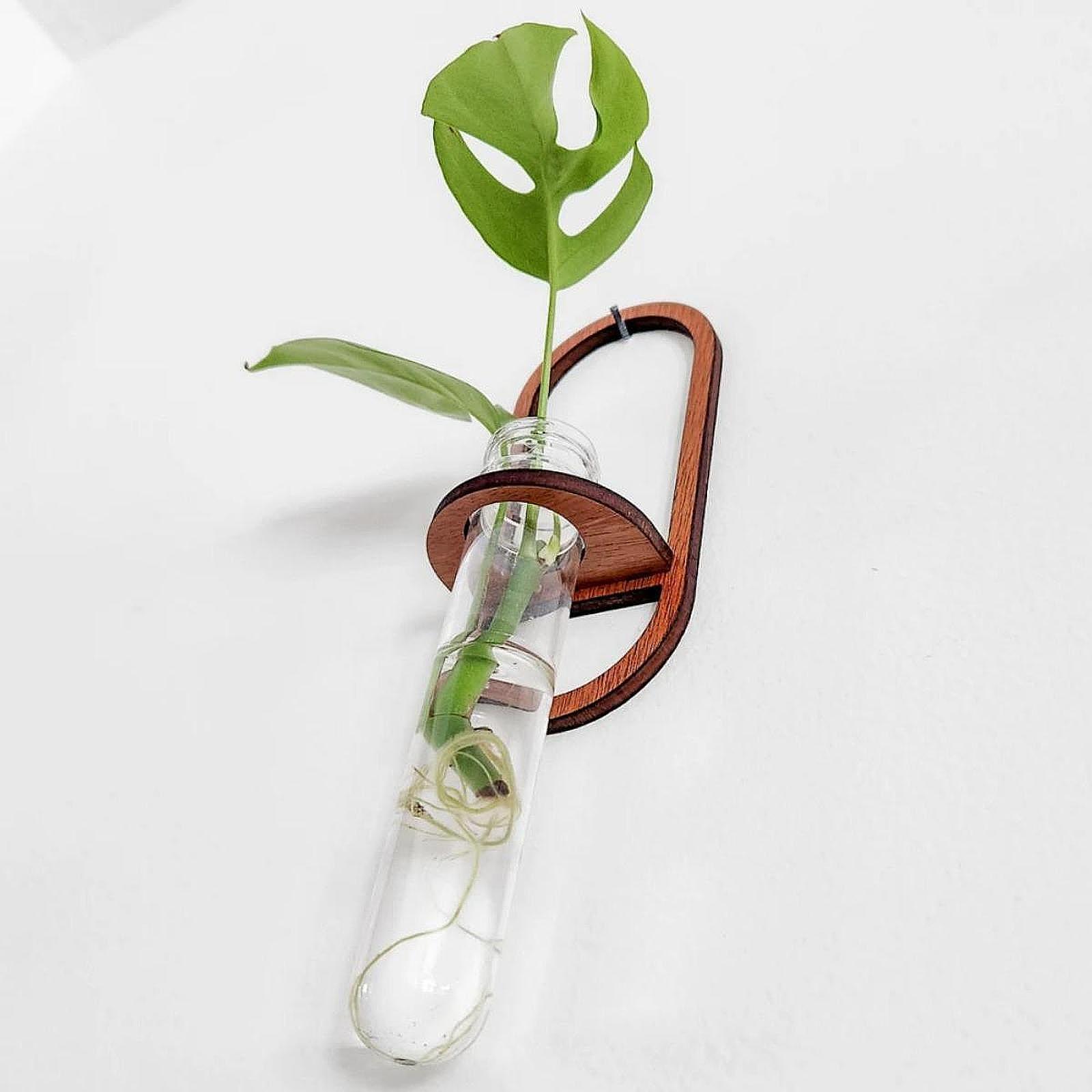 Propagation Station Vase - 水耕栽培用プランター、木製壁掛け棚、試験管を使った育苗ステーション。バルコニー、窓辺、リビングルーム、オフィスなどのインテリアとして。