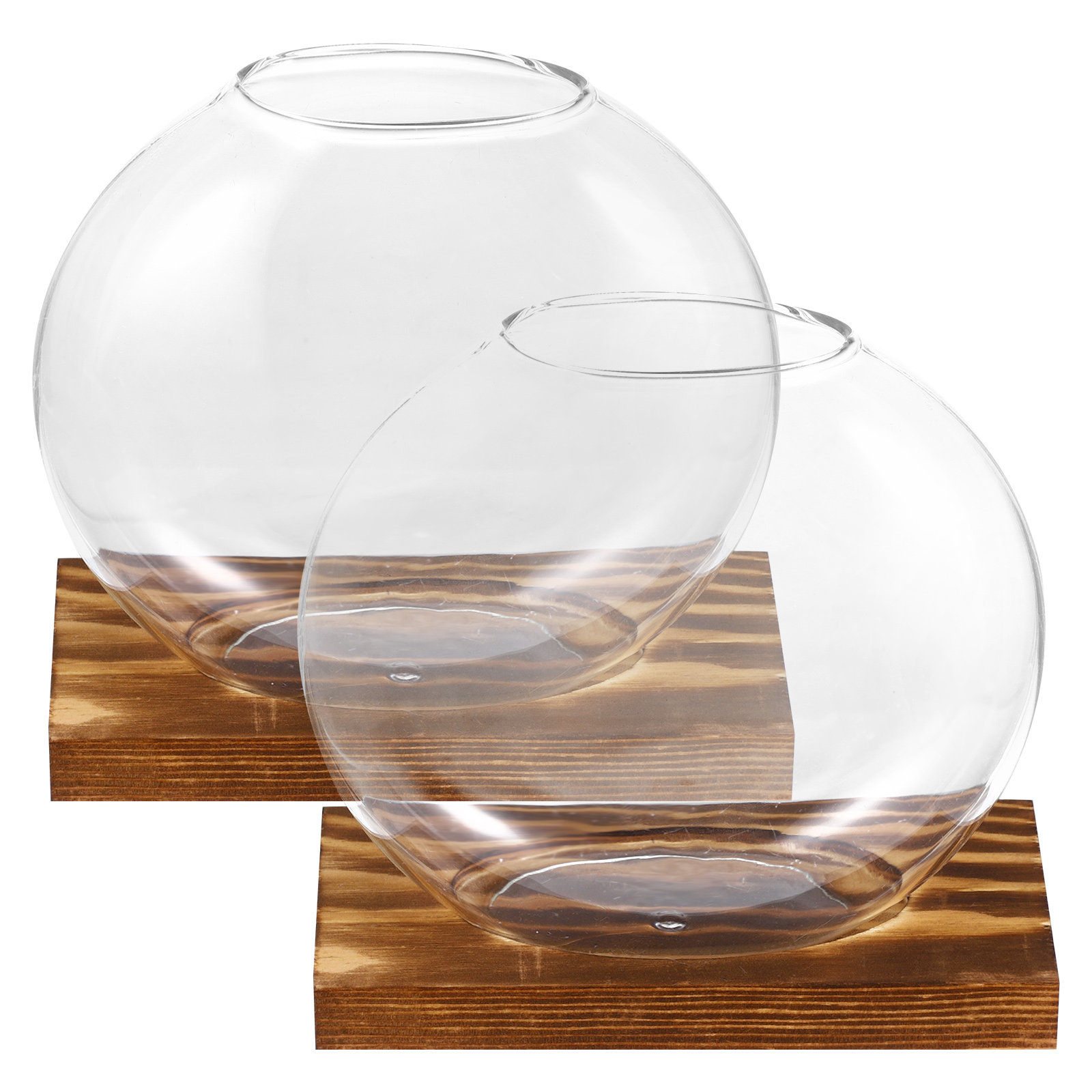 2個セットのガラス製小型花瓶。リビングや家のインテリア、透明 - Propagation Station Vase のレビューと価格